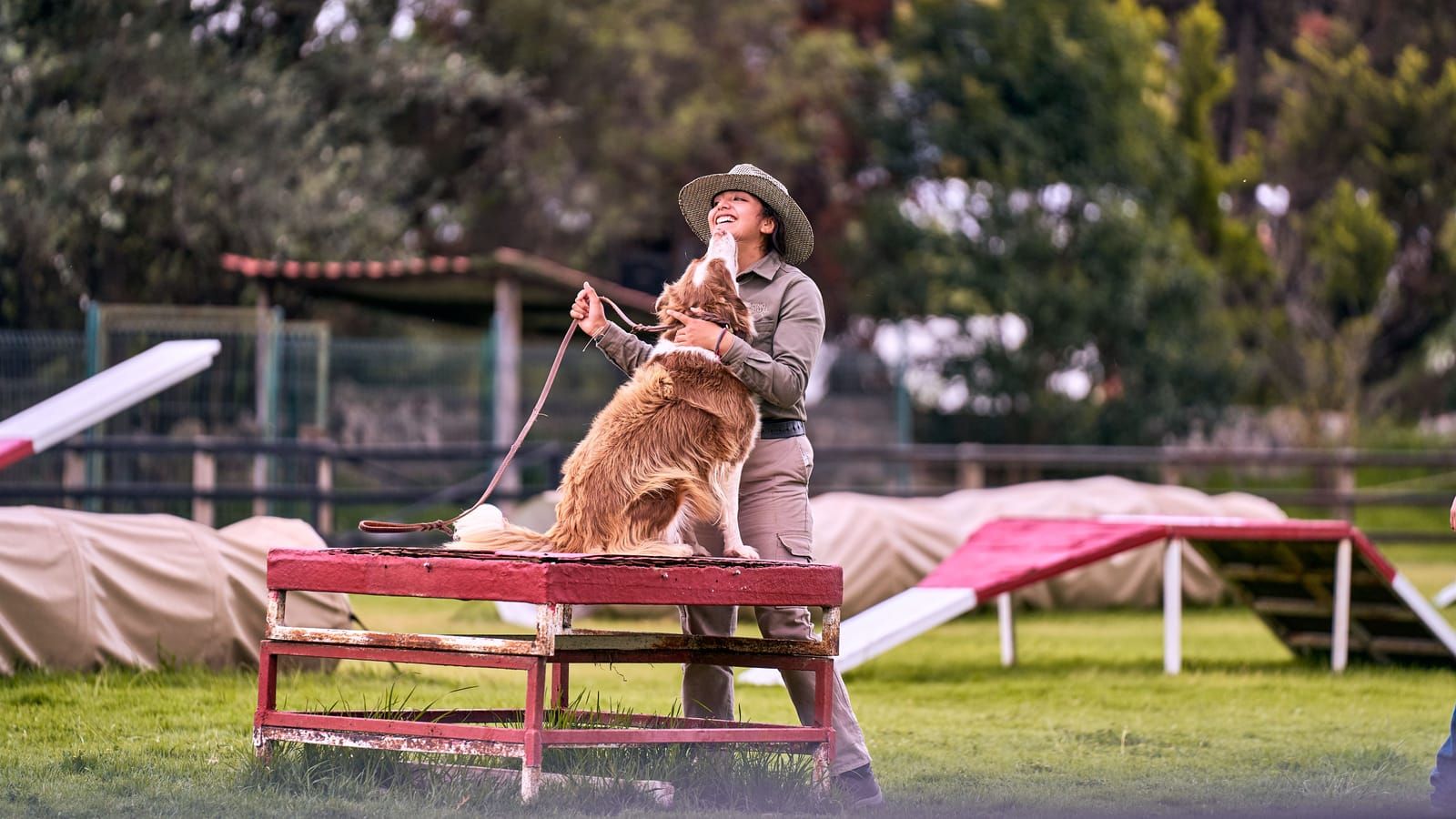 Educateur canin vs Comportementaliste : quelle difference ?