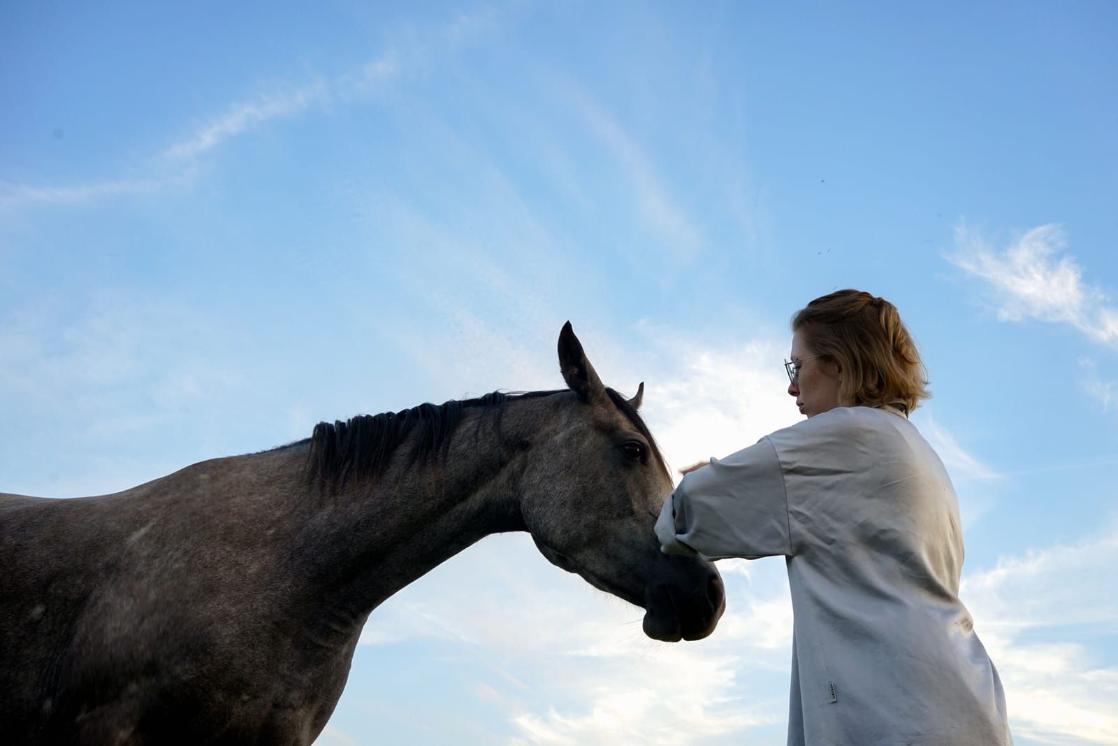 Osteopathe animalier : metier, formation et logiciel de gestion