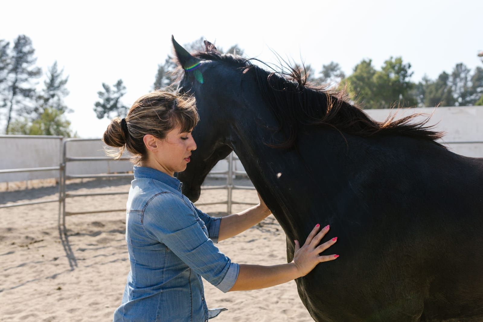 L'osteopathie animale : guide complet pour proprietaires