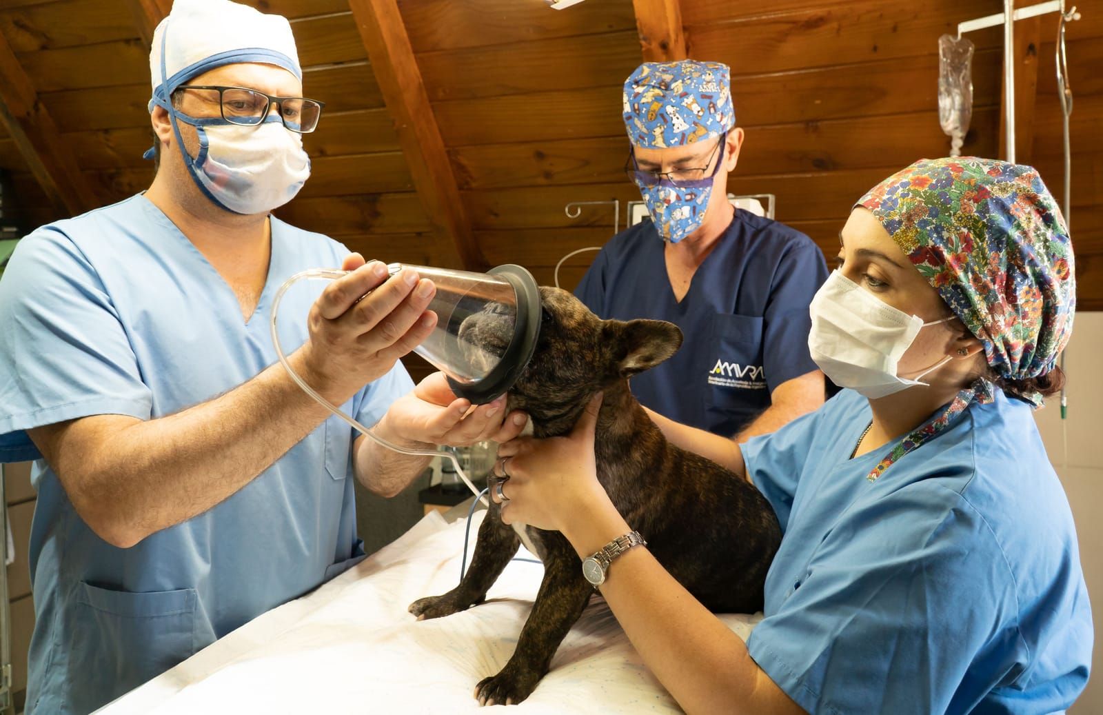 Sterilisation : pourquoi et quand ?