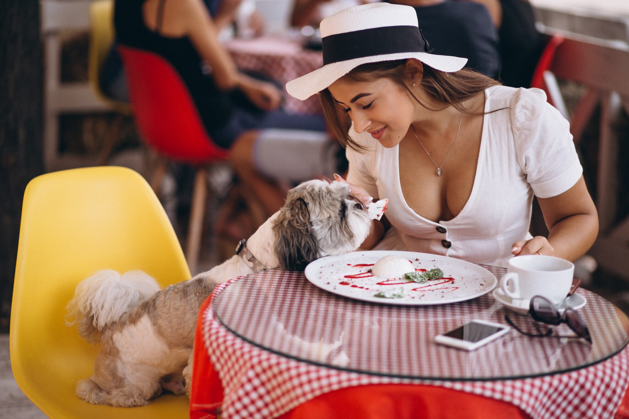 Café et animaux de compagnie