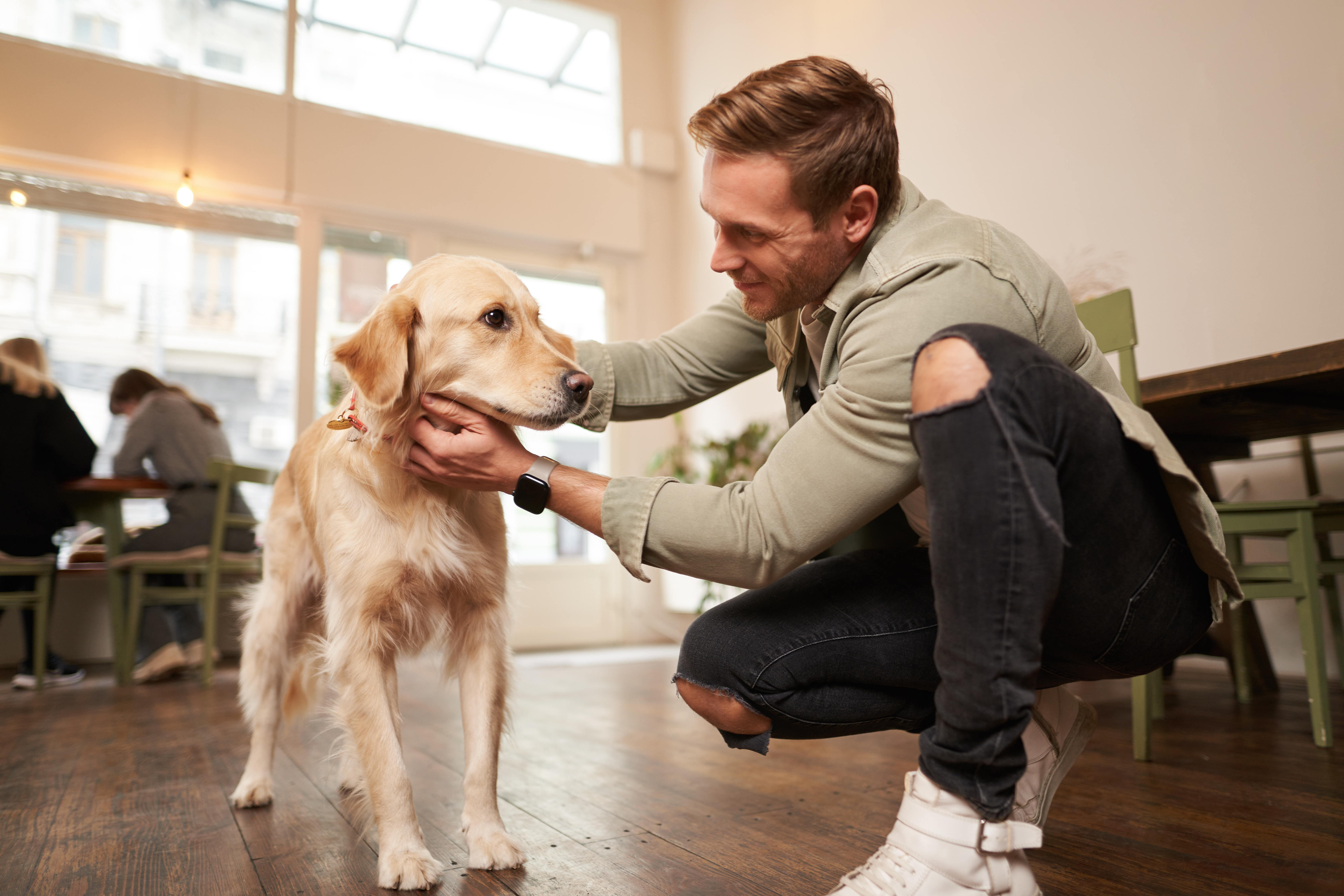 Dog-sitter promenant des chiens