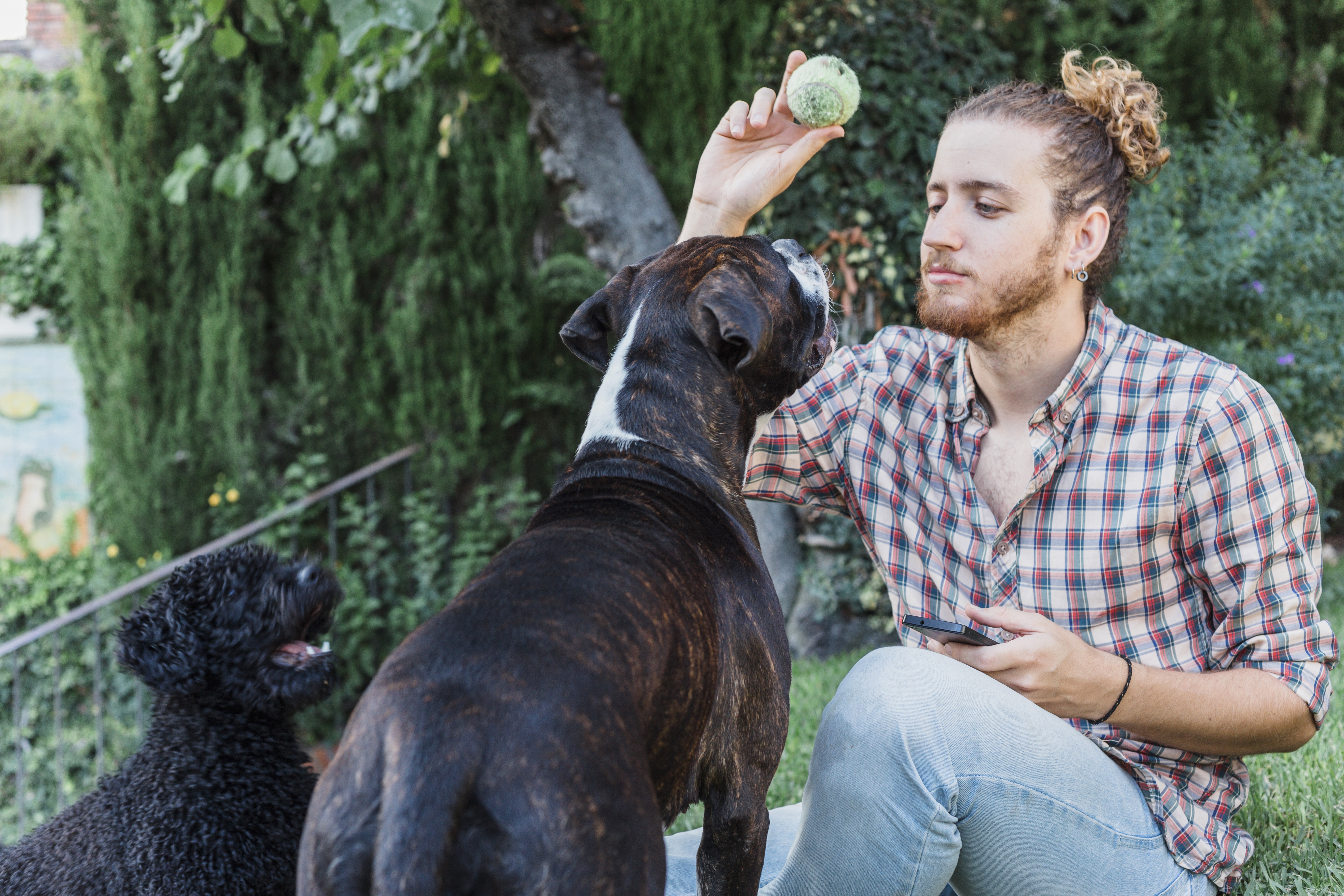 Éducateur canin en séance de dressage